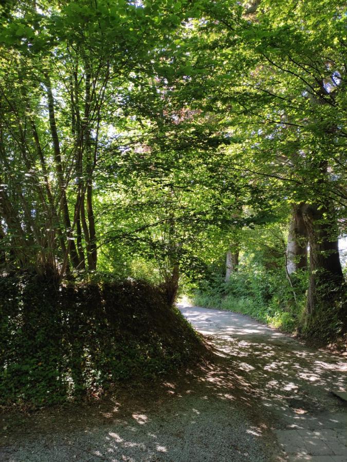 Villa Sous-Bois Marie スパ エクステリア 写真