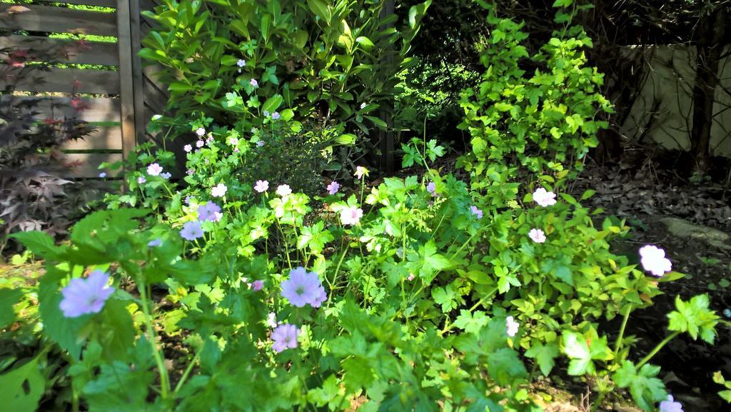 Villa Sous-Bois Marie スパ エクステリア 写真